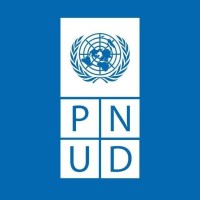 UNDP Dominican Republic logo - Similar company to Ecoredrd