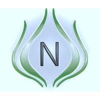 Ntsangalala Holdings (Pty)Ltd logo - Similar company to Gocongo Foundation