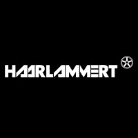 Autohaus Haarlammert GmbH & Co. KG logo - Similar company to Auto Leads
