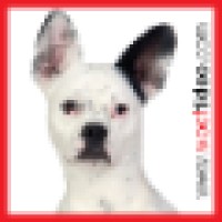 Wooftidoo Pet Services Llc