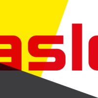 Hasler + Co AG logo - Similar company to Elock2