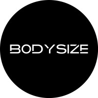Bodysize logo - Similar company to Panit