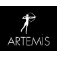 Artemis Yayınları logo - Similar company to Pontelang