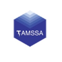 TAMSSA ELEC logo - Similar company to Gns-Elec