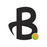 Brinbo logo - Similar company to Rizedesign