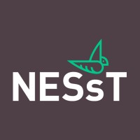 NESsT logo - Similar company to Ic Fundación