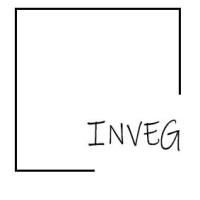 International Virtual Engineering Grid logo - Similar company to Smss Group