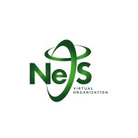 NeTS-VO logo - Similar company to Twin Beans