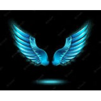 WINGZUP DIGITAL SOLUTIONS logo - Similar company to Wingzup Digital