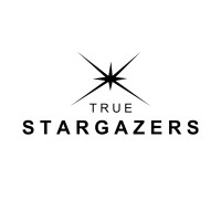 True Stargazers logo - Similar company to Kubo Studios