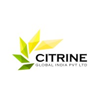 CITRINE GLOBAL INDIA PRIVATE LIMITED logo - Similar company to Webstack Business Solutions