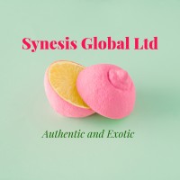 Synesis Global Ltd logo - Similar company to H3Pros
