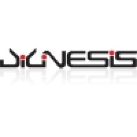 Diginesis