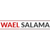 Wael Salama logo - Similar company to Apex Dms