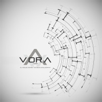 VoraCorp logo - Similar company to Herpro Inoxidable
