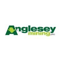 Anglesey Mining plc logo - Similar company to Distributor Nasa