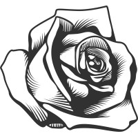 Rose Noir Media LLC