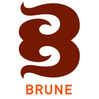 BRUNE logo - Similar company to Brune