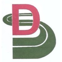 Digital Security Solutions logo - Similar company to Focus Digital Security Solutions Ltd