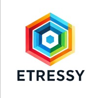 Etressy Network Solutions logo - Similar company to Flo-Akinbiyi.Com