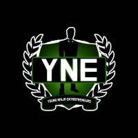 Young Naija Entrepreneurs logo - Similar company to Advanced Level Youth Empowerment Foundation