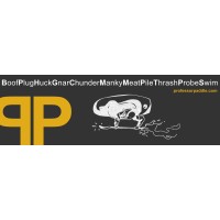 Professorpaddle.Com