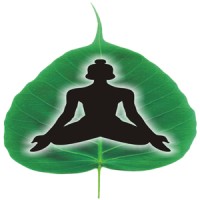 Chakrapani Ayurveda logo - Similar company to The Speakup Challenge