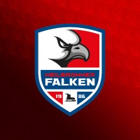 Heilbronner Falken GmbH logo - Similar company to 🚀 Hotbytes Gmbh & Co. Kg