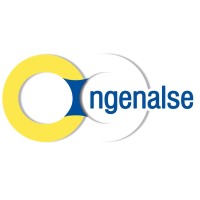 Ingenalse S.A logo - Similar company to Bailac San Ltda