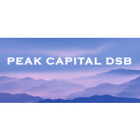 Peak Capital DSB logo - Similar company to Skyview Advisors