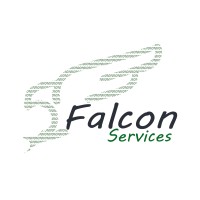 FALCON SERVICES BENIN logo - Similar company to Bensoft