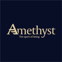 Amethyst Suits logo - Similar company to V.De Studio