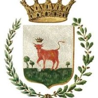 Comune Di Nardò logo - Similar company to Studio Legale Petrone