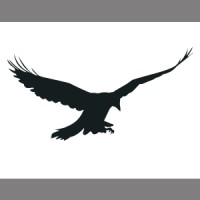 Corvus Capital, LLC logo - Similar company to Corvus Capital