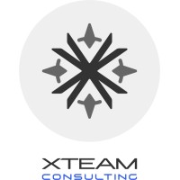 XTEAM consulting logo - Similar company to Xteam Software Solutions Srls