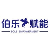 Bole Empowerment logo - Similar company to Intvo
