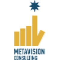 Metavísion