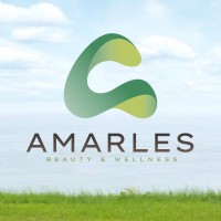 Amarles logo - Similar company to Vem Systems