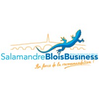 Salamandre Blois Business logo - Similar company to Femmes 41