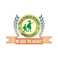 Tulsi Public School Ambala logo - Similar company to Sarthak Engineering