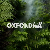 OXFORDhill logo - Similar company to Luxe Lab Llc
