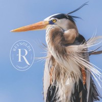The Reynolds Companies logo - Similar company to Carlson West Povondra Architects