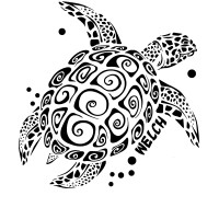 Mike Welch, Llc