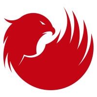 Falcon Play - TV Automation in a Box logo - Similar company to We Are Wonder Aps