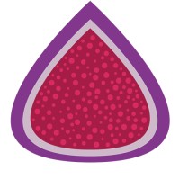 Figment POS logo - Similar company to Diversity Group