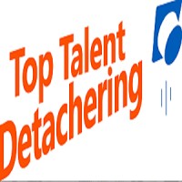 Toptalent Detachering logo - Similar company to Flexpartners Bv