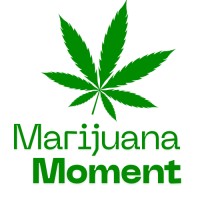 Marijuana Moment logo - Similar company to Term Sheets
