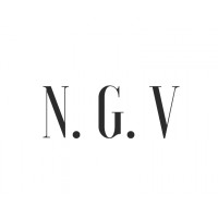 NGV logo - Similar company to Ngv.Earth