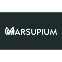 Marsupium logo - Similar company to Cygnet Systems