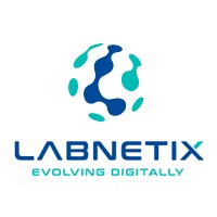 Labnetix logo - Similar company to Gour Software Services Private Limited